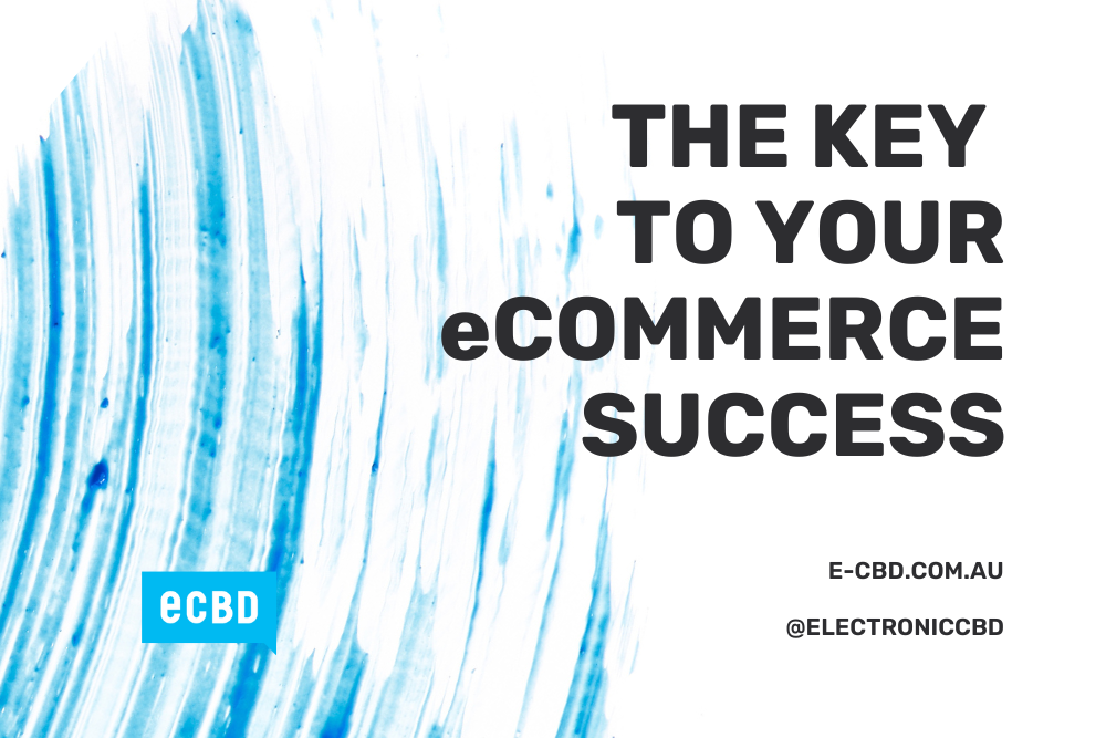 Five Digital Marketing Strategies For eCommerce Success - e-CBD Blog